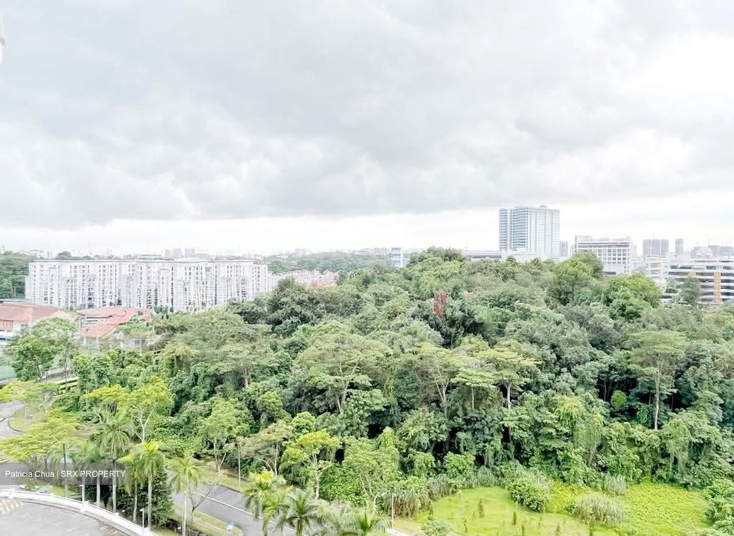 Blk 290G Spring View (Bukit Batok), HDB 4 Rooms #626989751